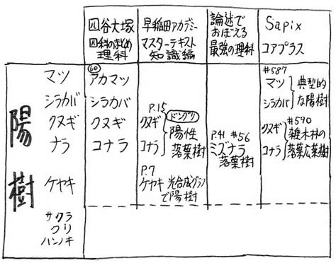 陽樹|陰樹の特徴と陽樹の特徴 違いも解説 – 庭師の独り言